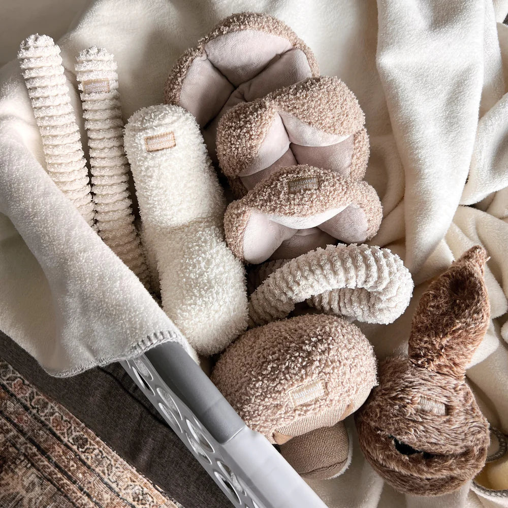 Jouet de fouille Monti