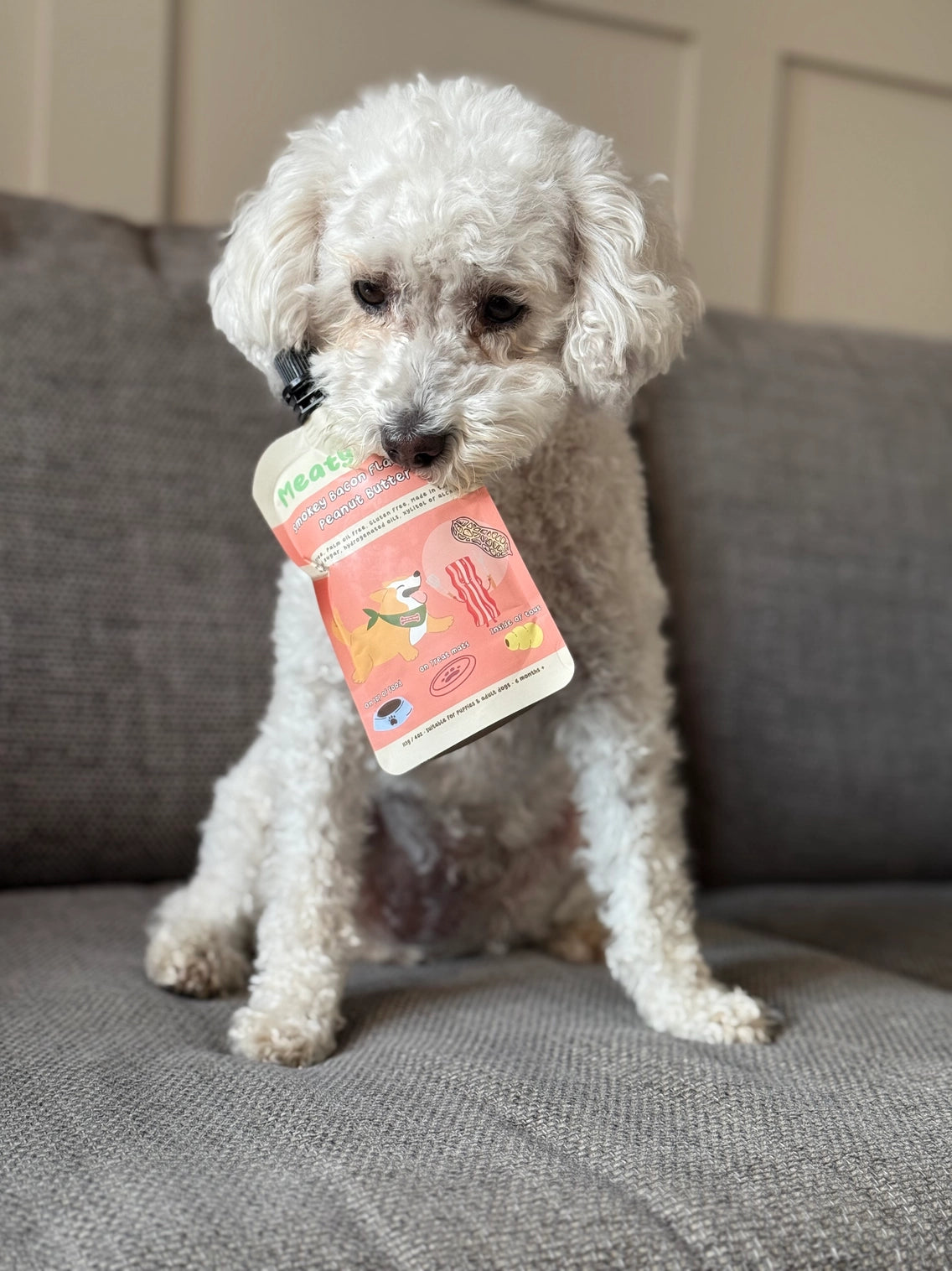 Beurre de cacahuète pour chien bacon