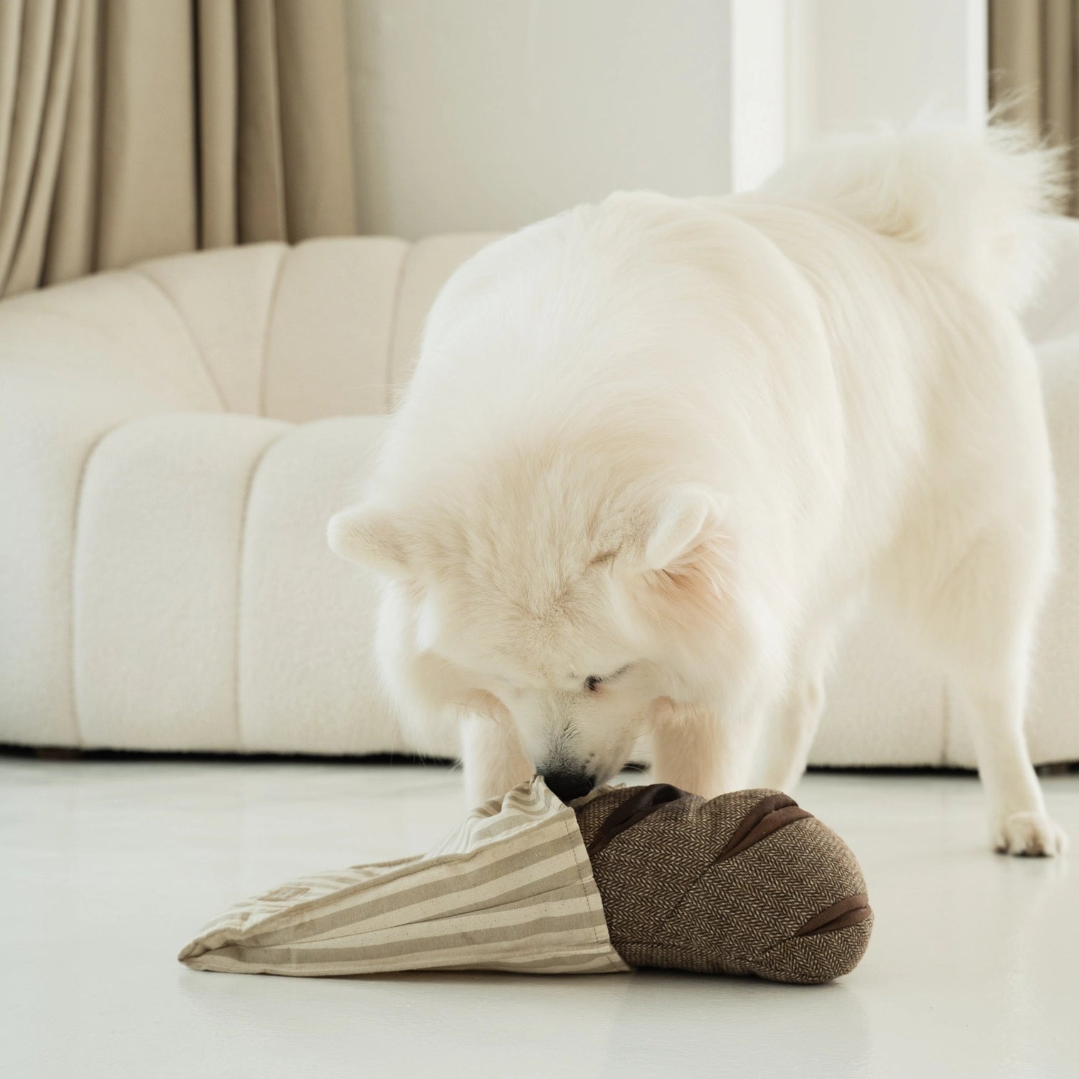 Pain de campagne de fouille