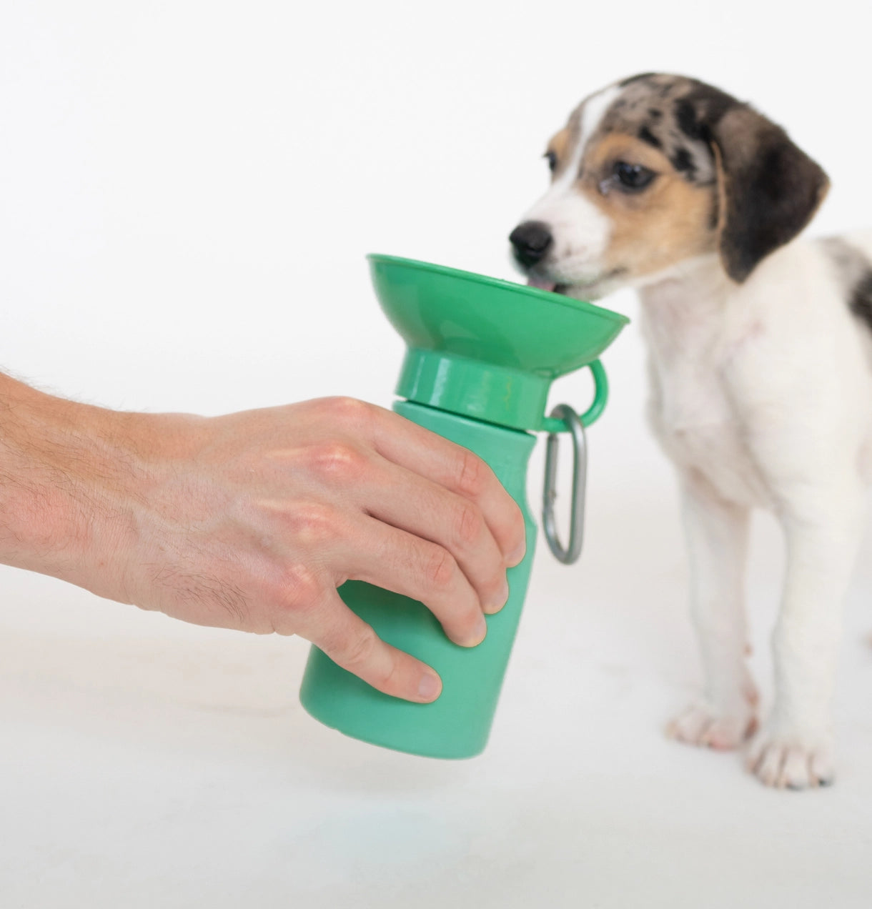 Gourde pour chien avec gamelle intégrée 44cl