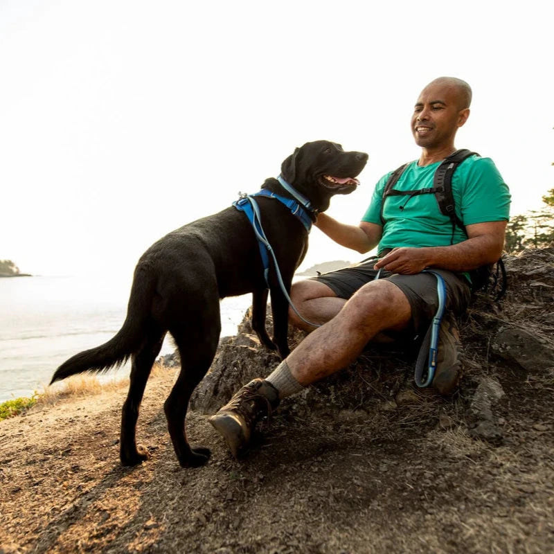 Laisse Front Range - Blue Pool