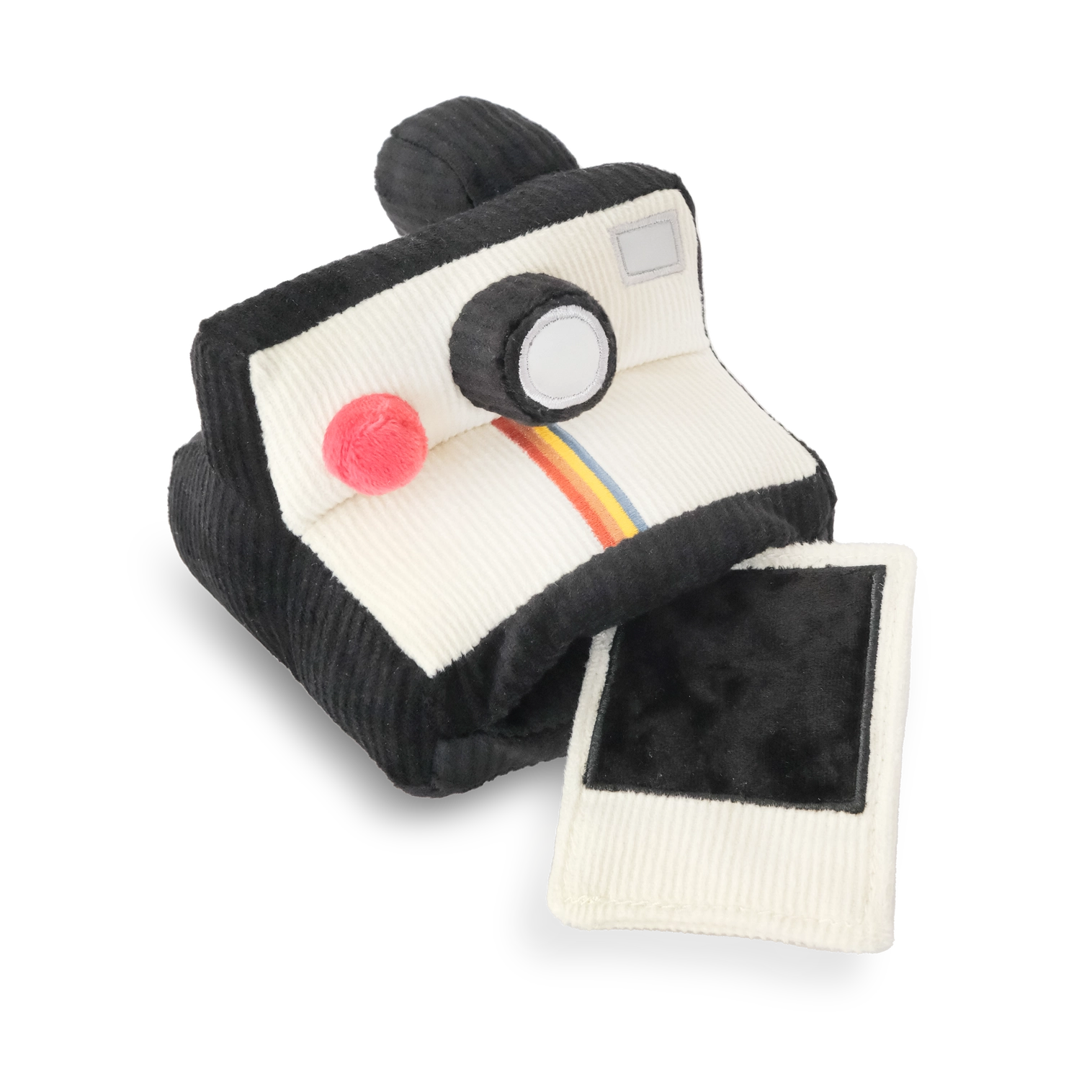 Polaroïd de fouille pour chien