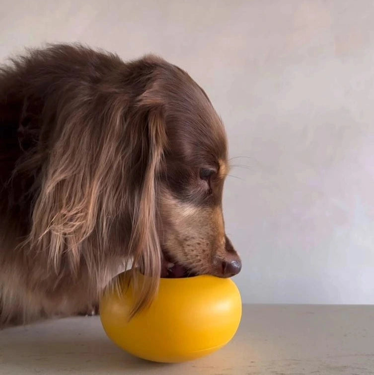 Pebble Jouet deux en un