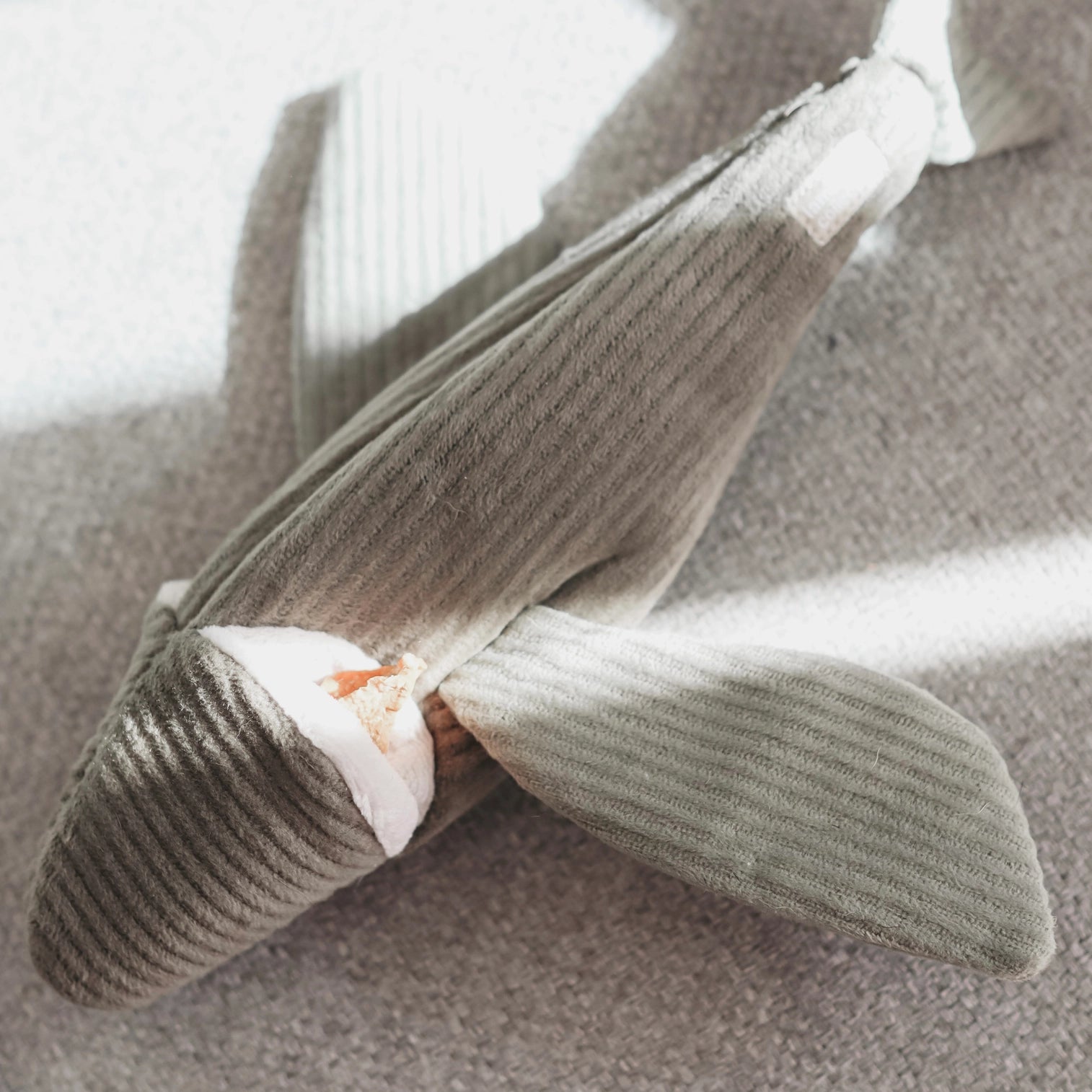 Poisson de fouille Flying Fish