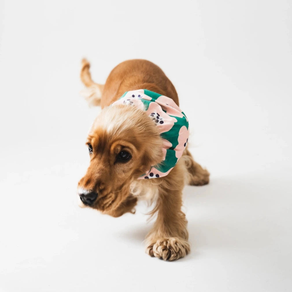 Snood à fleurs pour chien