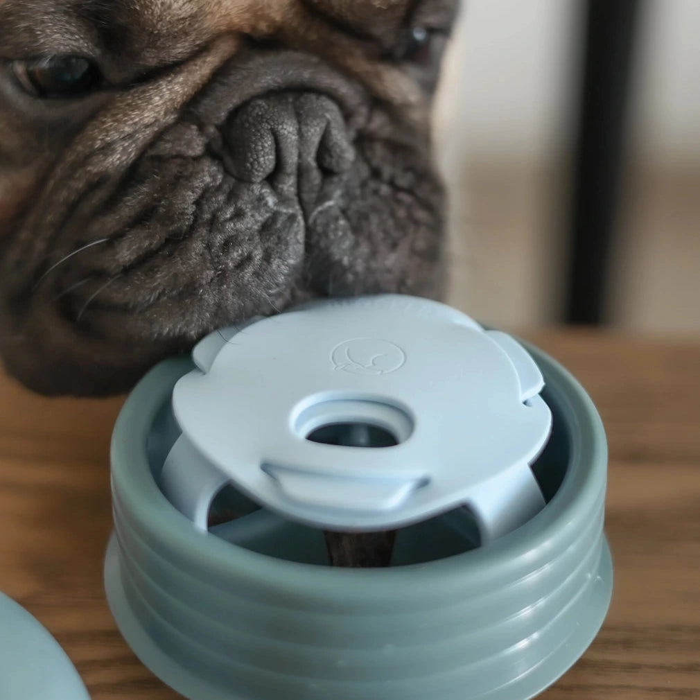 Pebble Jouet deux en un