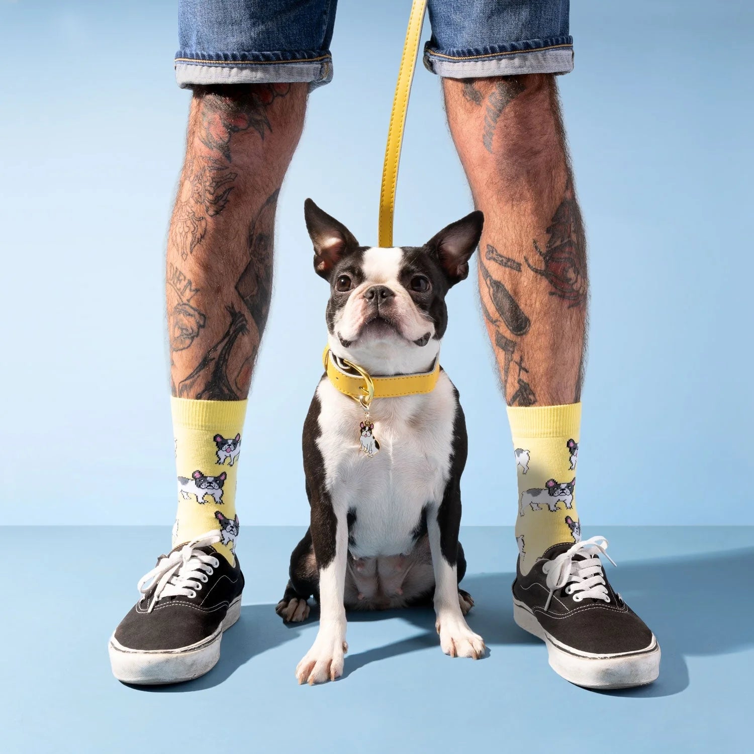 Chaussettes Bouledogue
