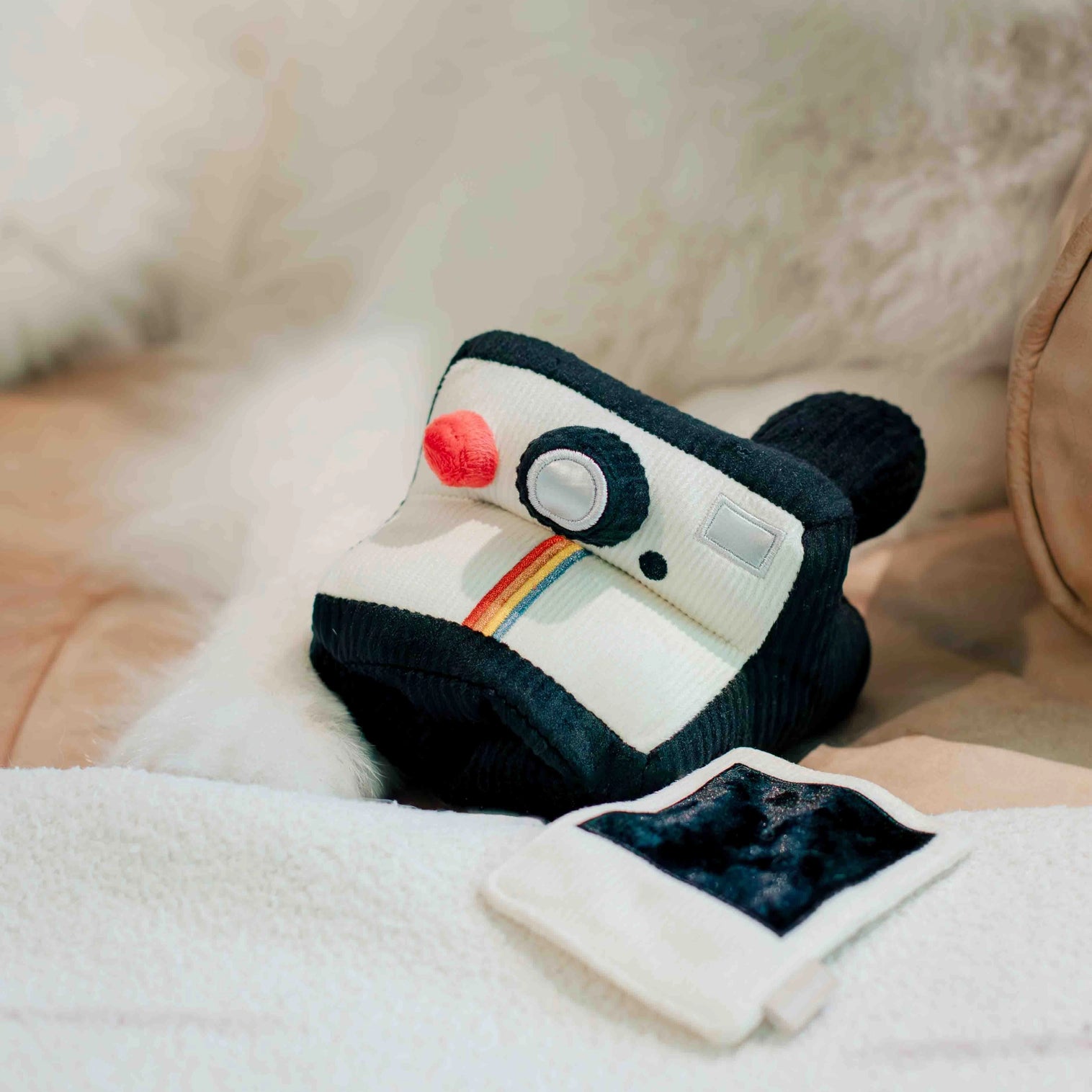 Polaroïd de fouille pour chien