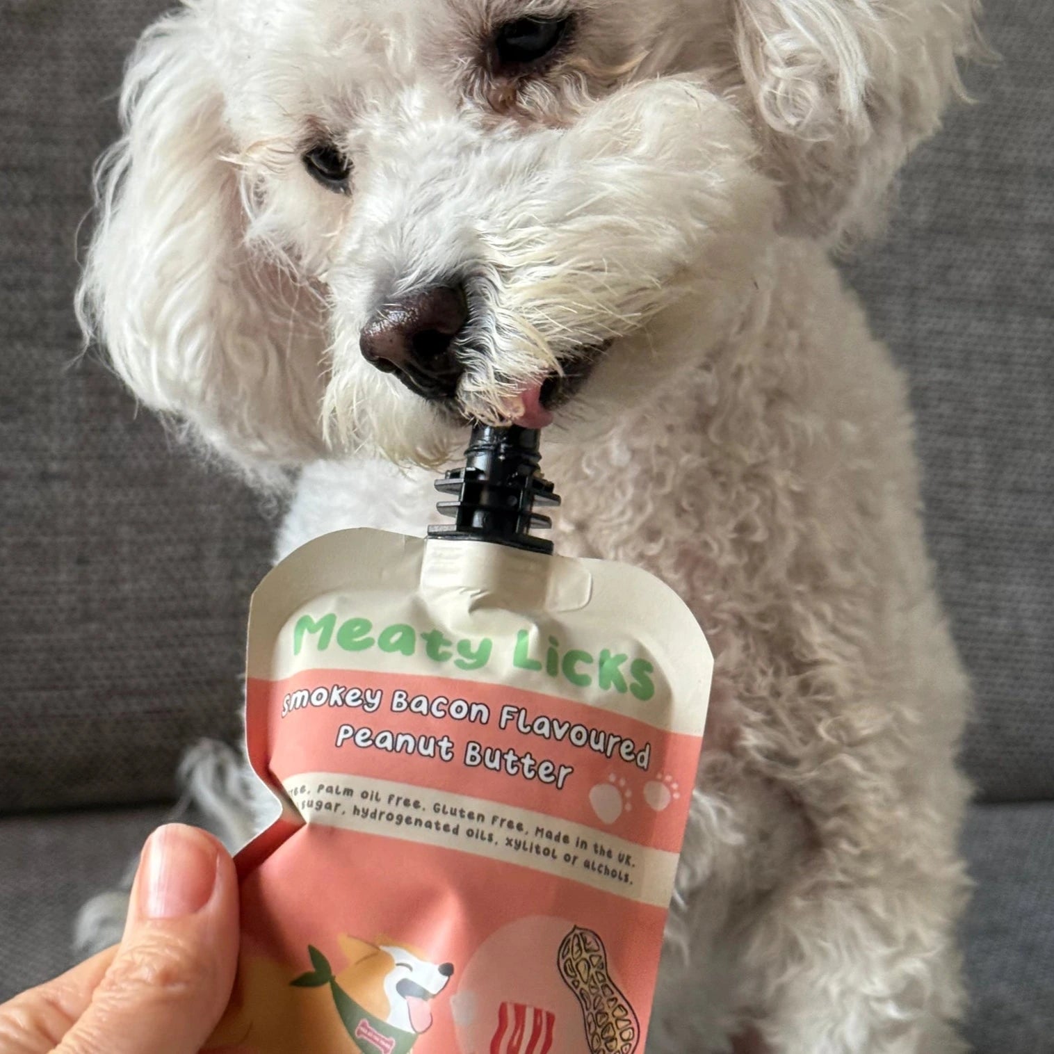 Beurre de cacahuète pour chien bacon