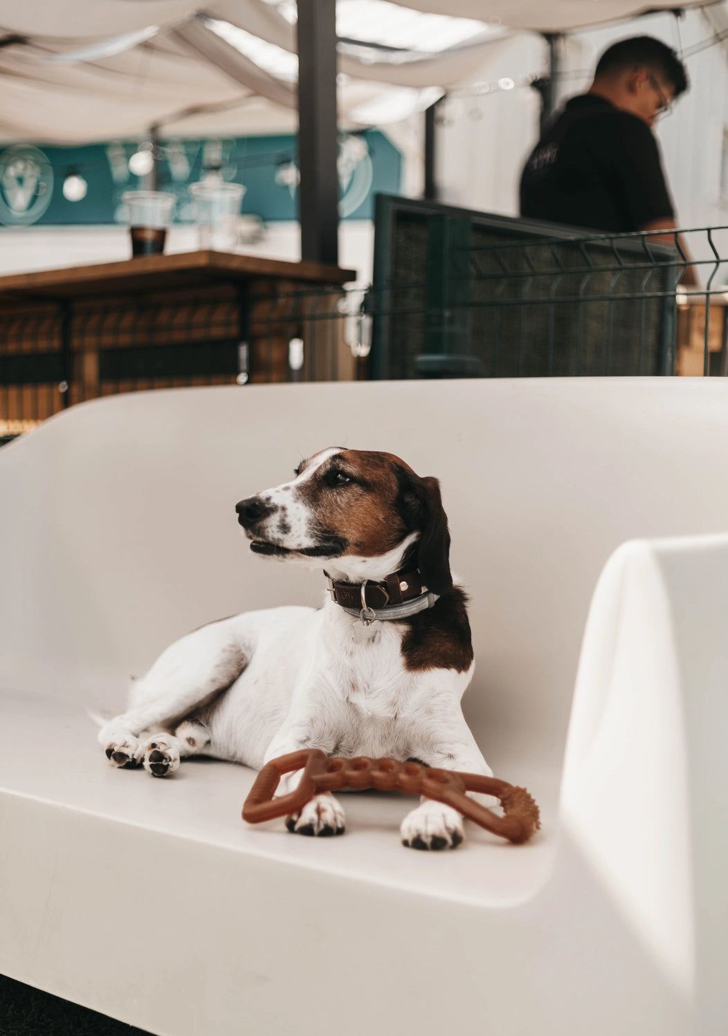 Jouet en résine à macher Heavy Dity