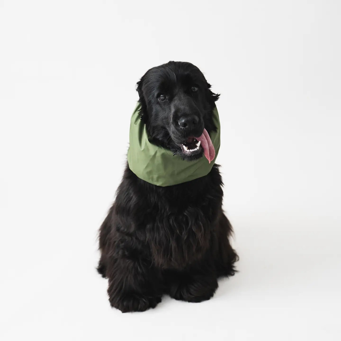 Snood impermeable chien kaki