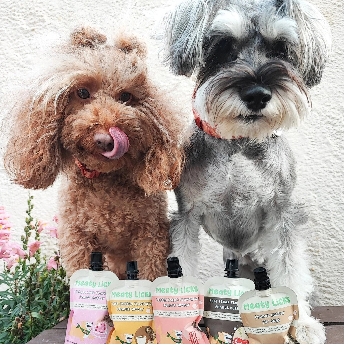 Beurre de cacahuète pour chien