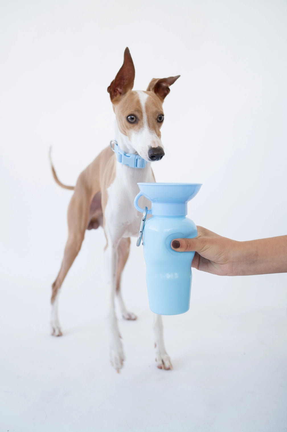 Gourde pour chien avec gamelle intégrée 65cl