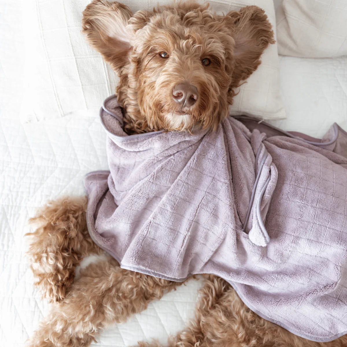 Peignoir de bain pour chiens