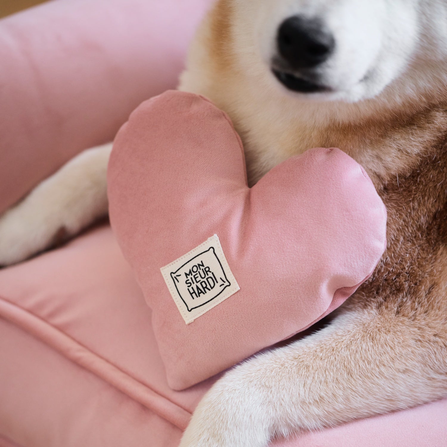 Cœur Edition Saint Valentin