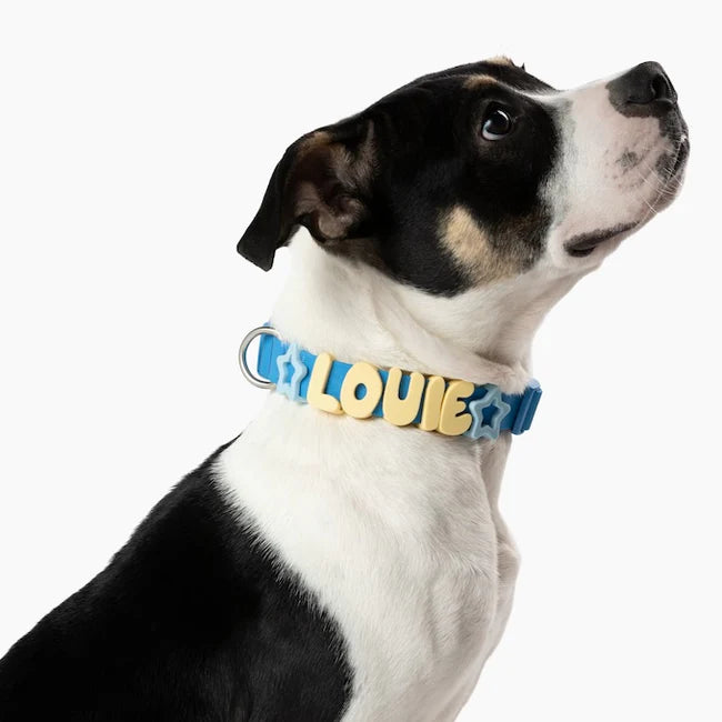 Collier Waterproof Navy Springland Pets