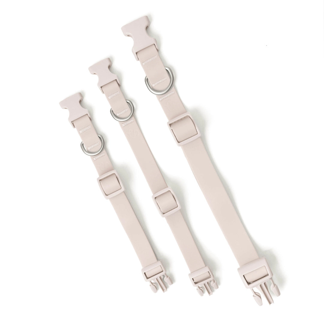 Collier pour chien avoine imperméable en Biothane