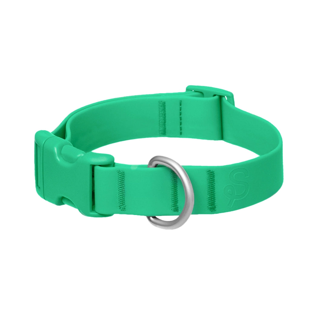Collier pour chien vert imperméable en Biothane