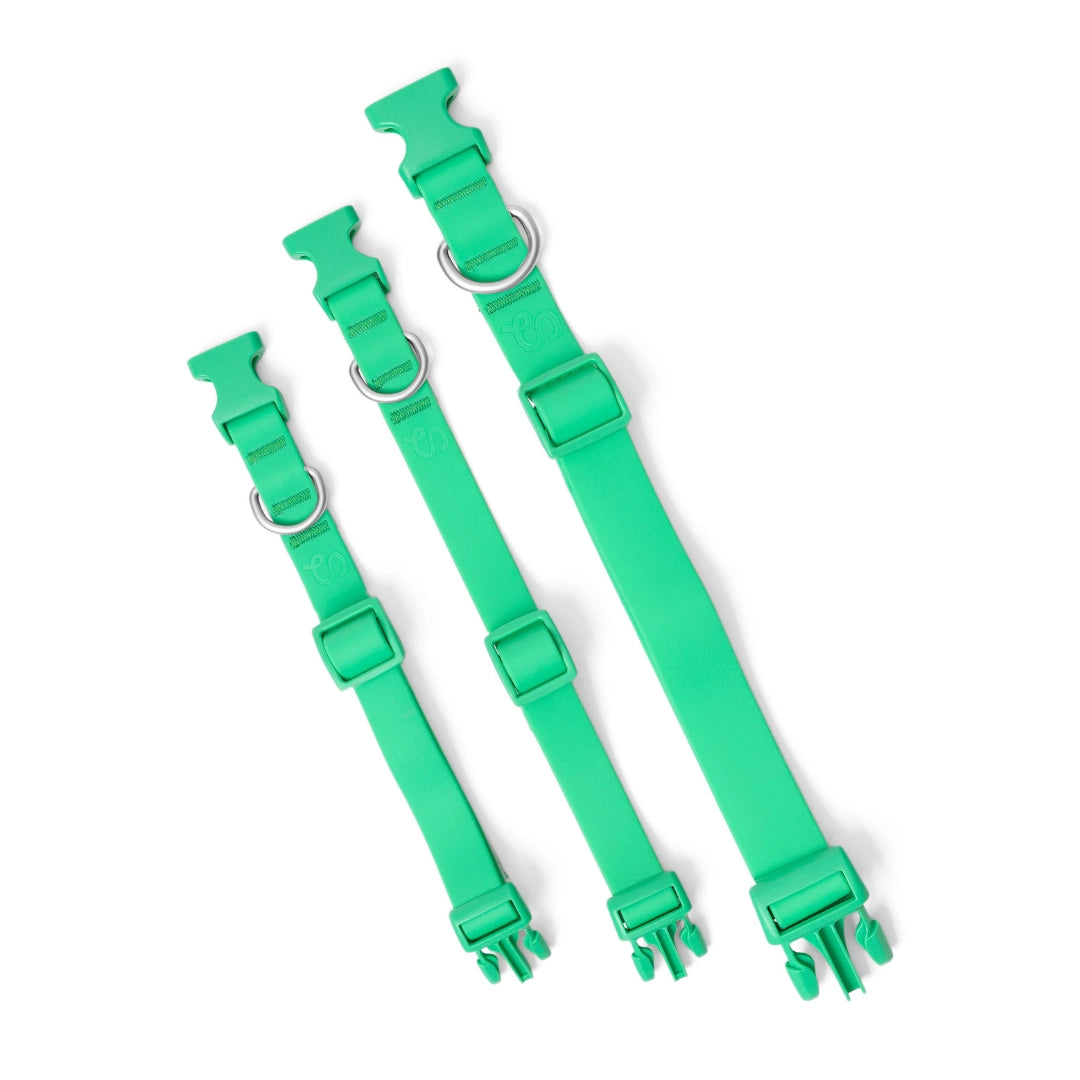 Collier pour chien vert imperméable en Biothane