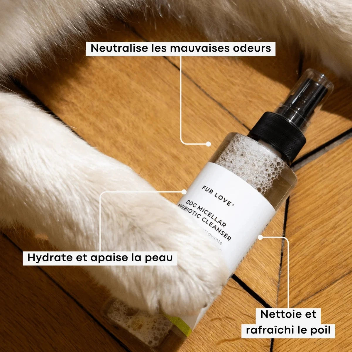 Eau micellaire naturelle pour chien