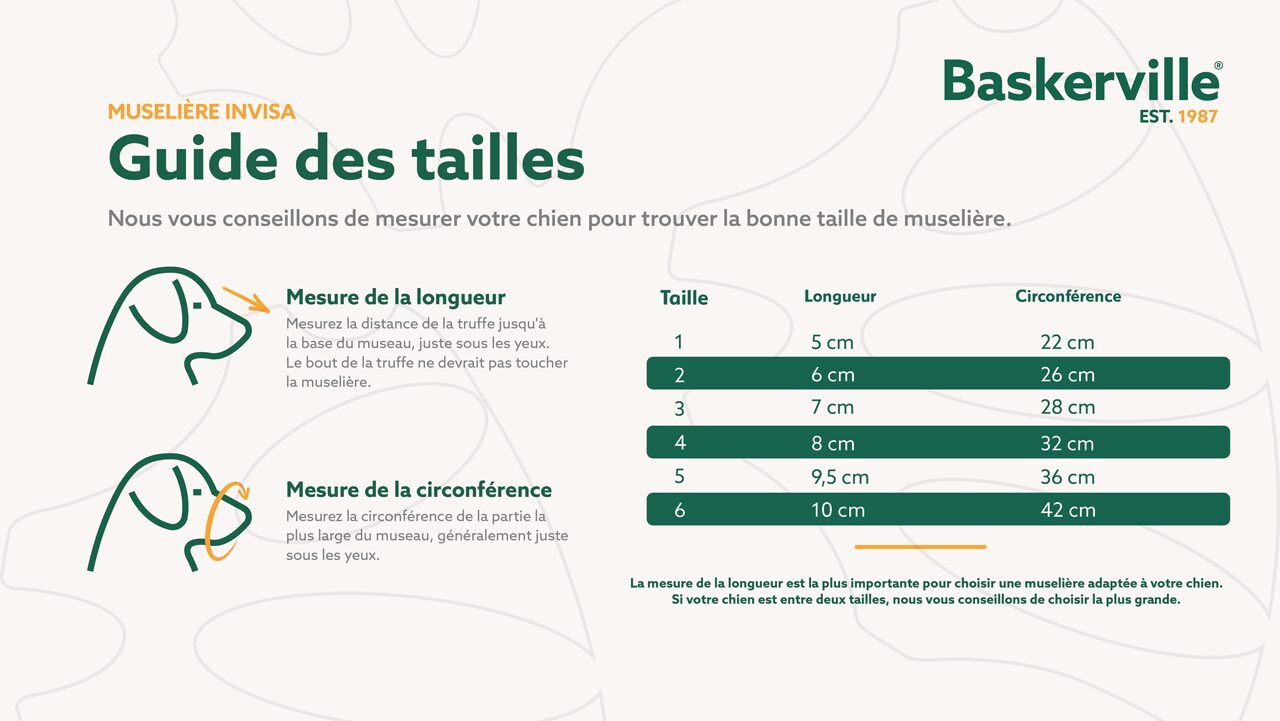 MUSELIERE INVISA BASKERVILLE