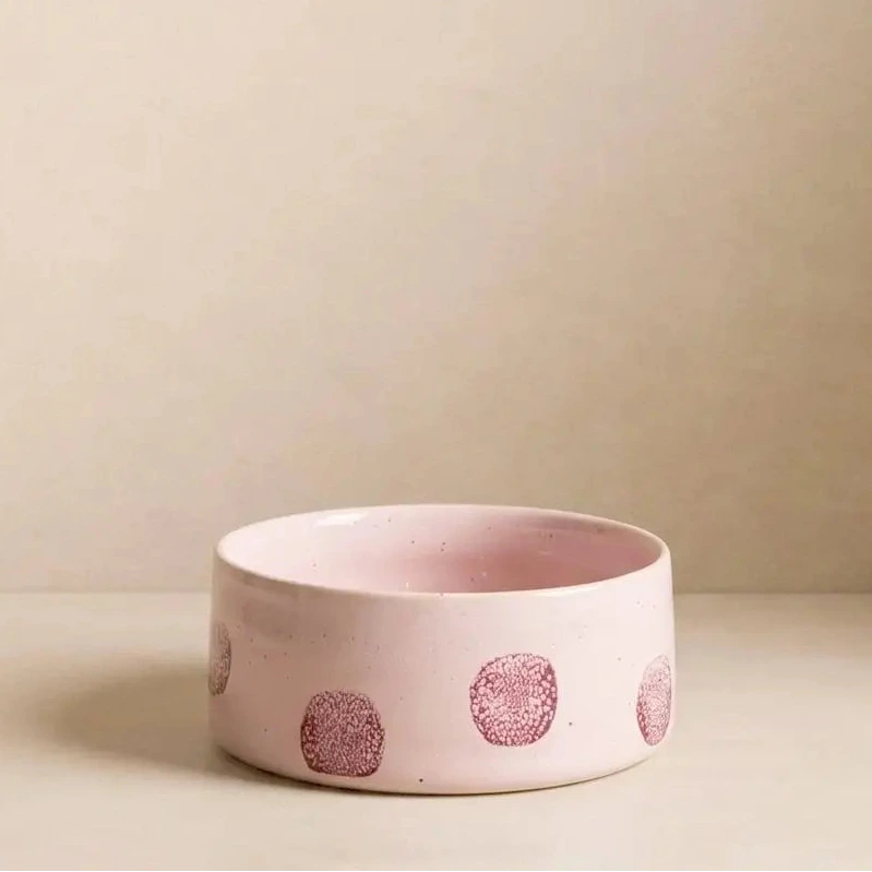 Gamelle en céramique pour chien à pois