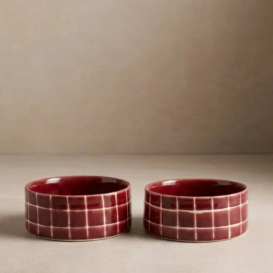 Gamelle pour chien céramique carreaux piscine