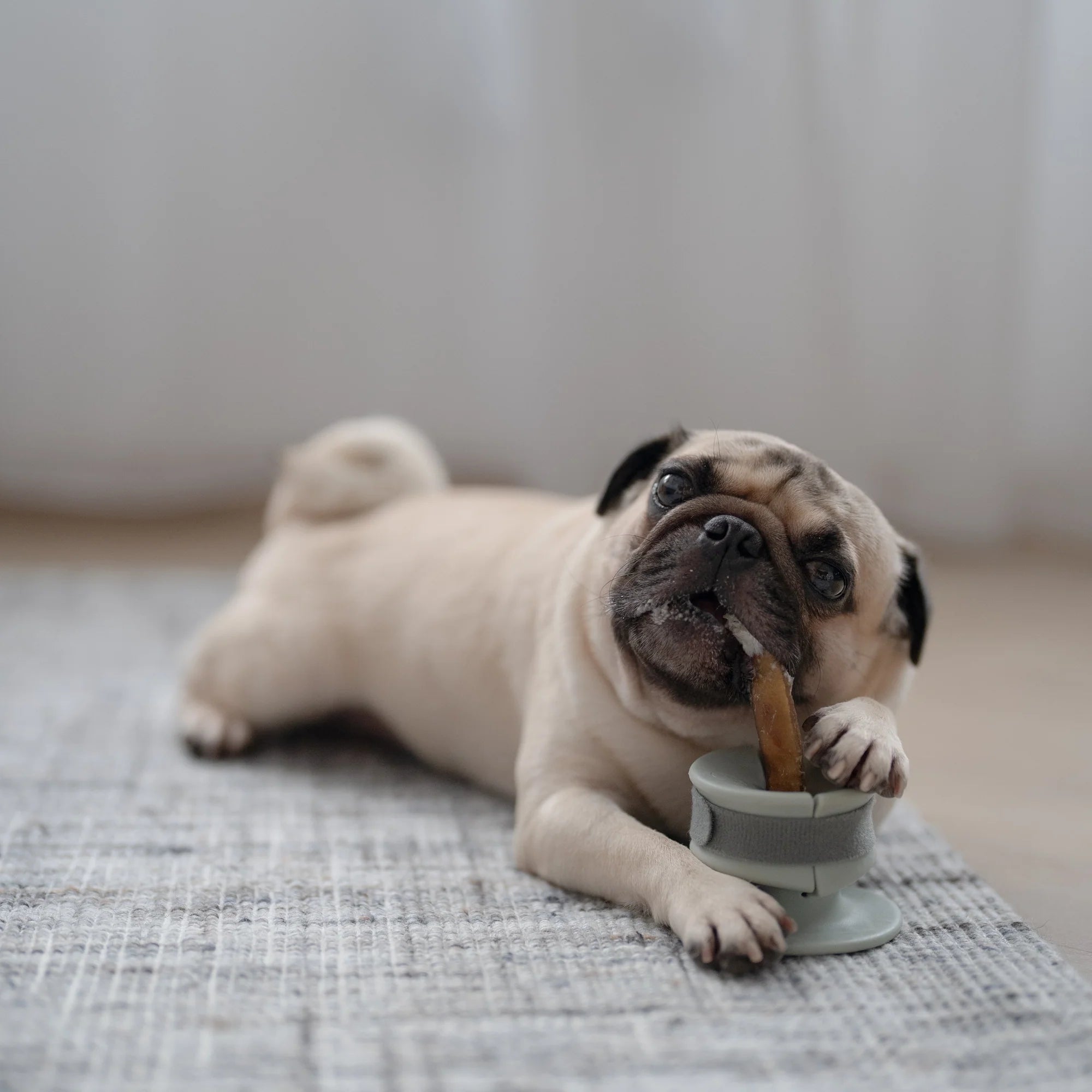 Support à macher pour mastication