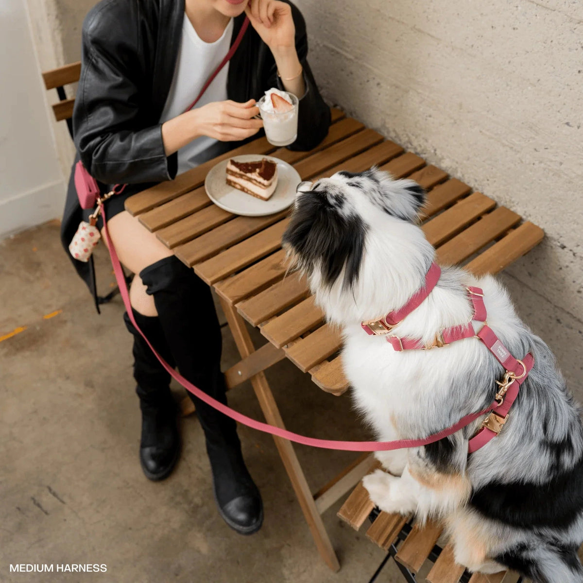 Harnais pour chien waterproof bordeaux