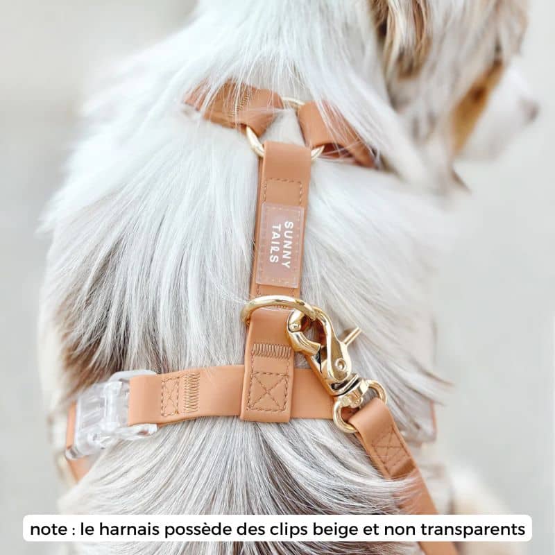 Harnais Cloud Lite Waterproof Chaï