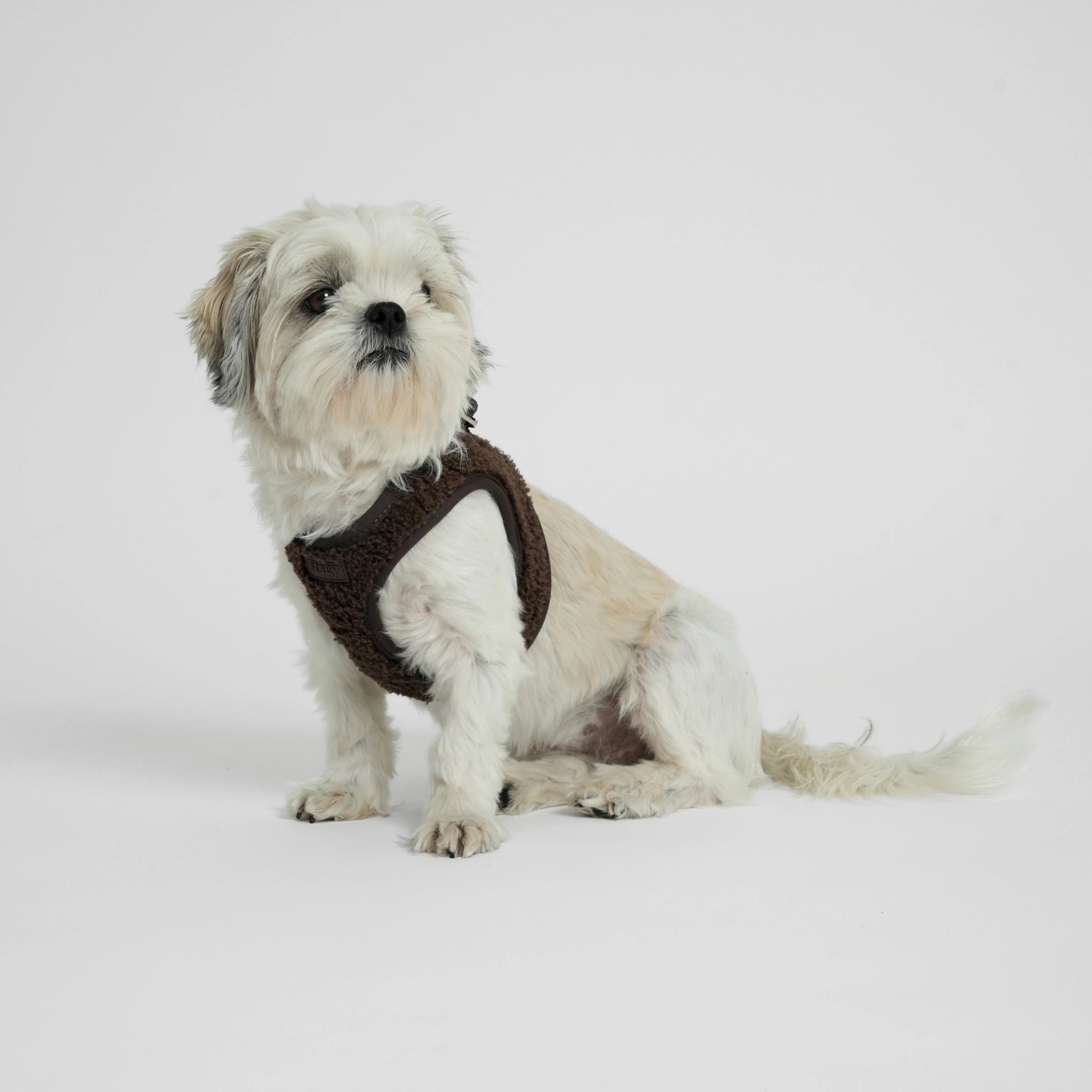 Harnais Step-In Teddy