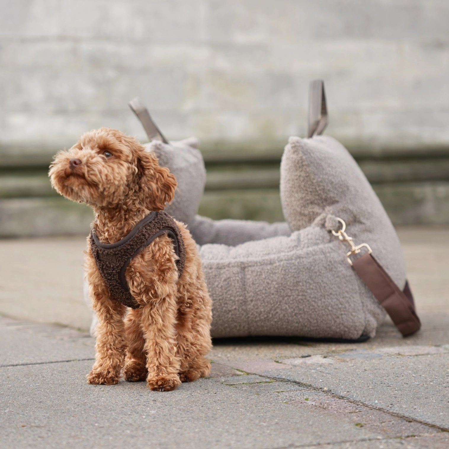 Harnais Step-In Teddy