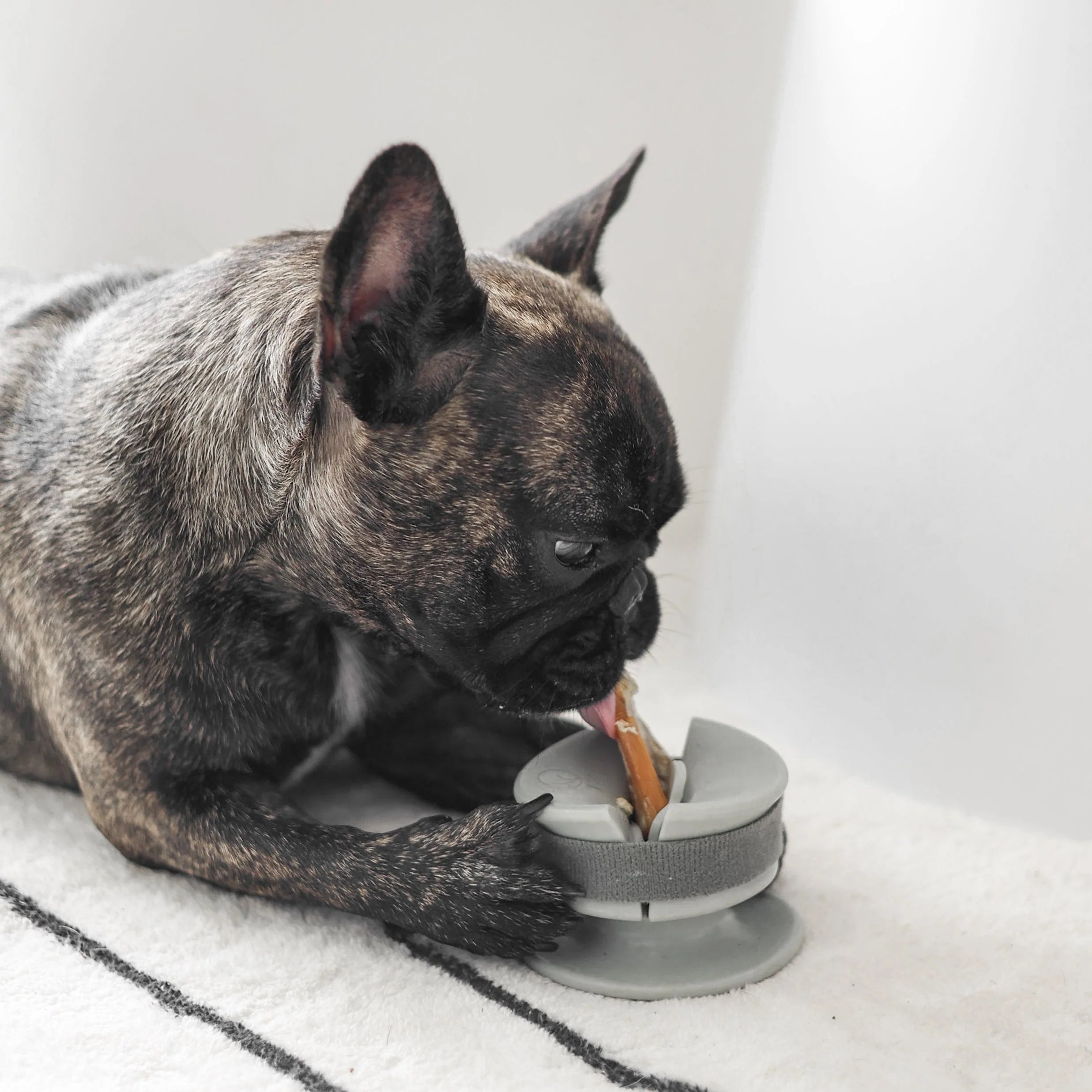 Support à macher pour mastication