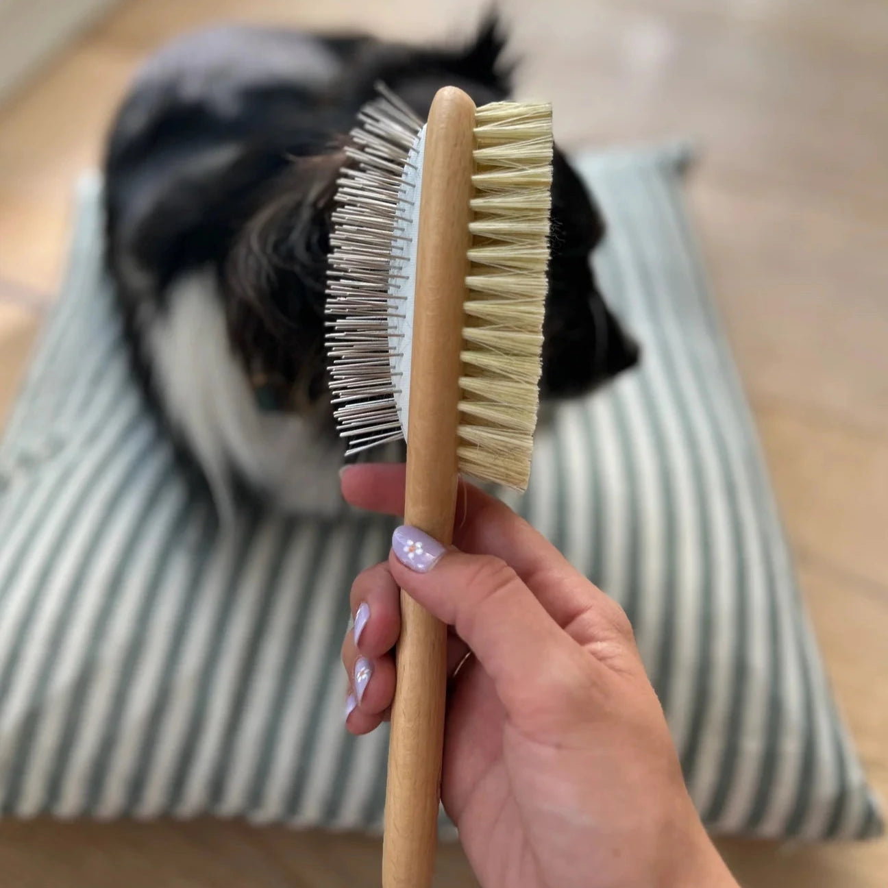 Brosse pour chiens