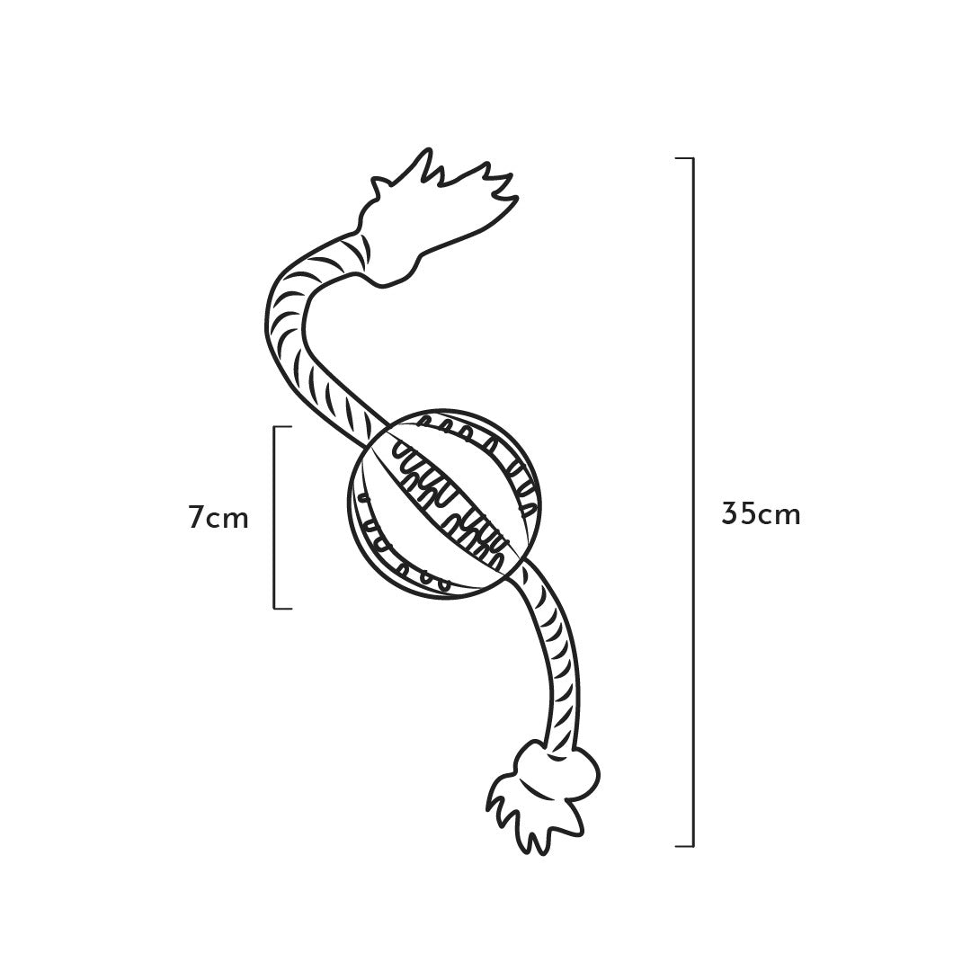 Jouet à macher pour chiens et chiots Dental Floating Ball