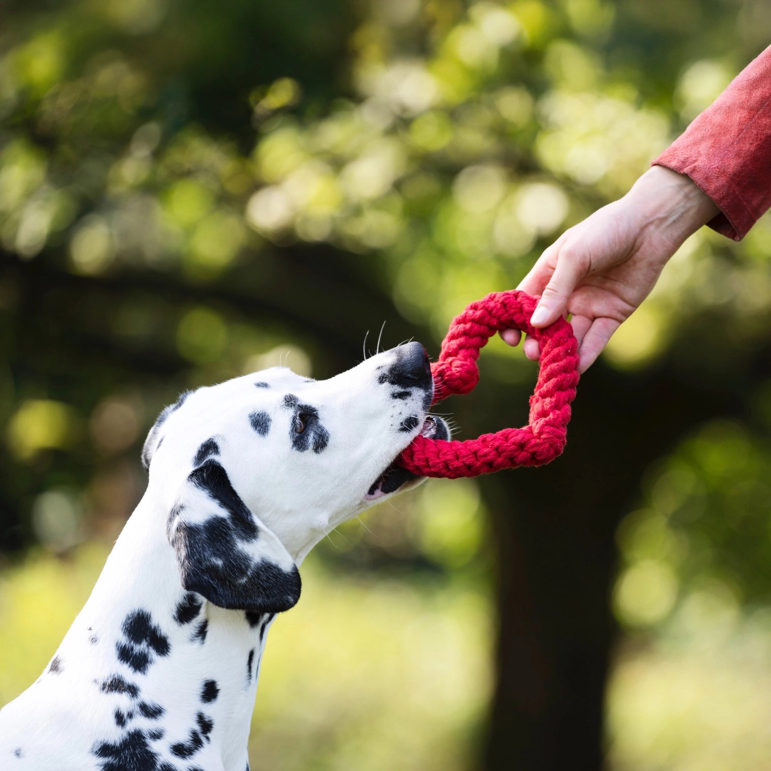 Jouet en corde pour chien coeur