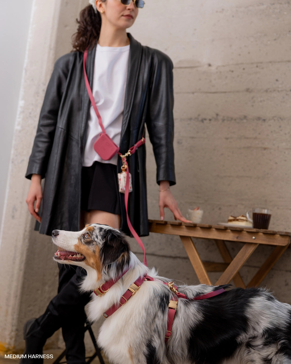 Laisse multi positions pour chiens Sunny Tails bordeauxLaisse multi positions pour chiens Sunny Tails bordeaux