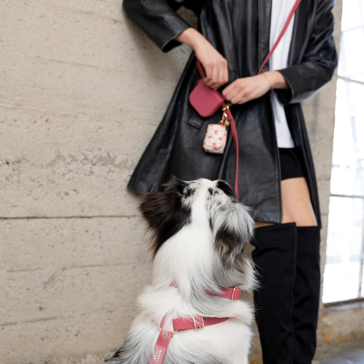 Laisse multi positions pour chiens Sunny Tails bordeaux