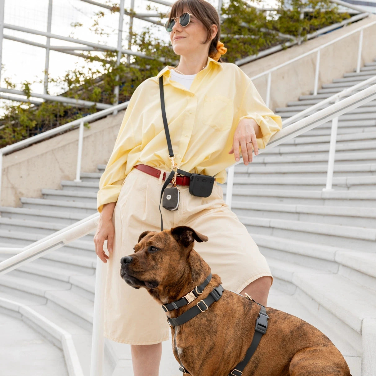 Laisse multi positions pour chiens Sunny Tails Noire