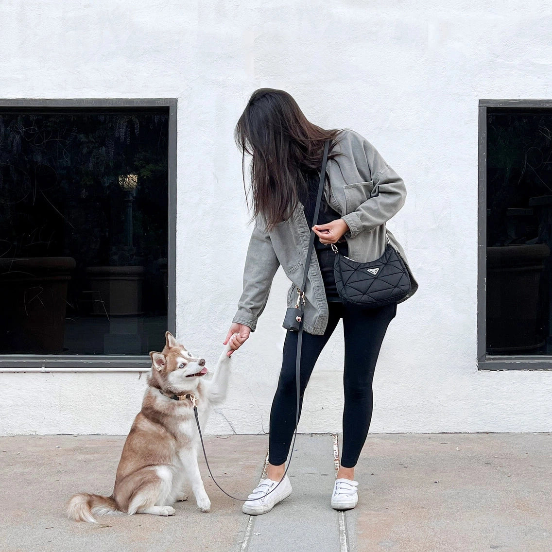 Laisse multi positions pour chiens Sunny Tails Noire