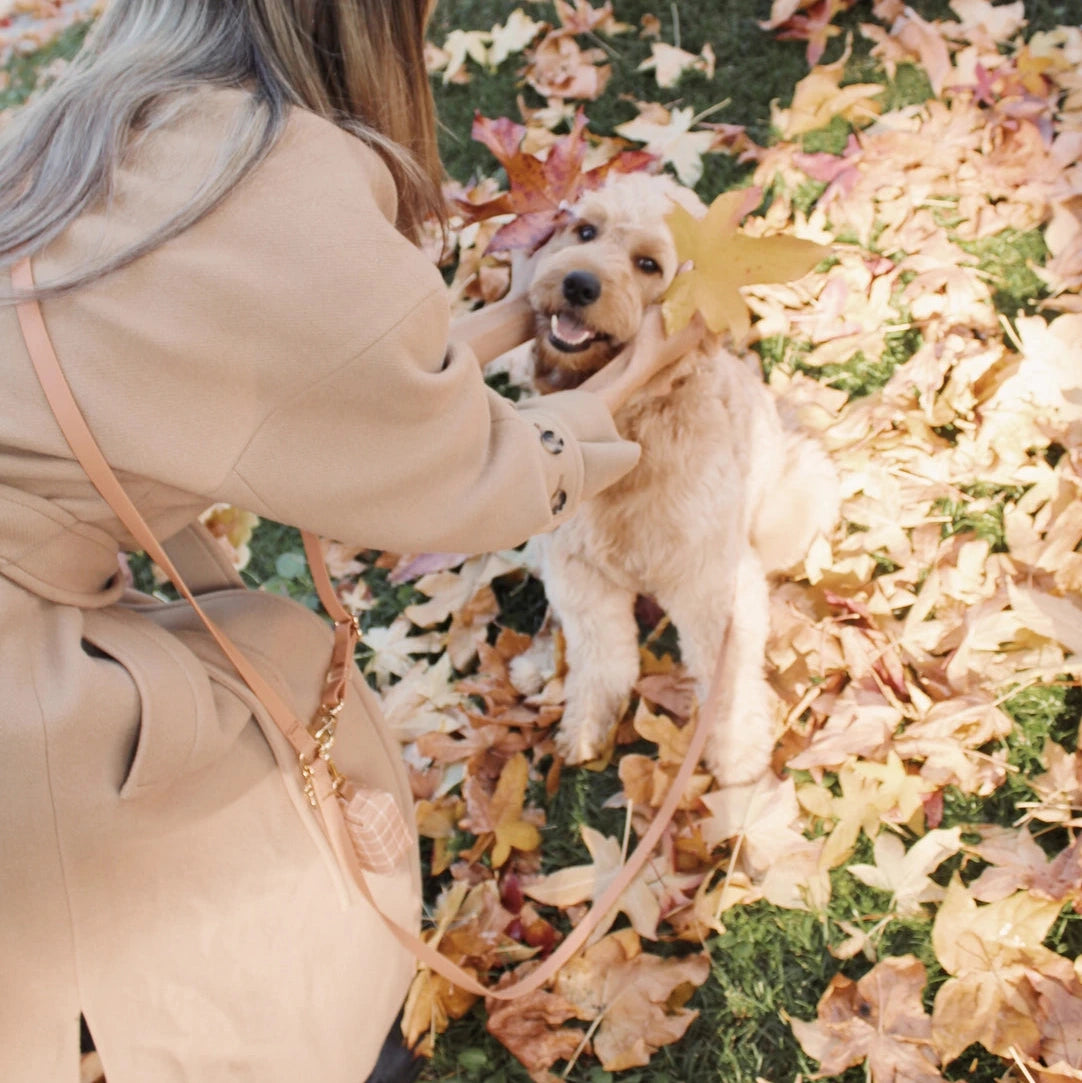 Laisse multi positions pour chiens Sunny Tails chaï
