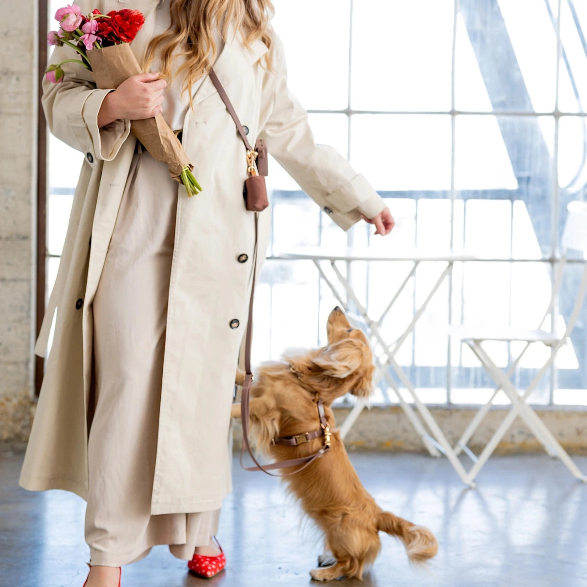 Laisse 4 positions pour chiens Sunny Tails expresso