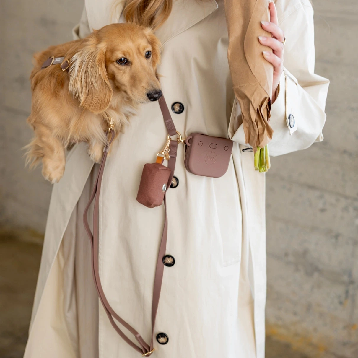 Laisse 4 positions pour chiens Sunny Tails expresso