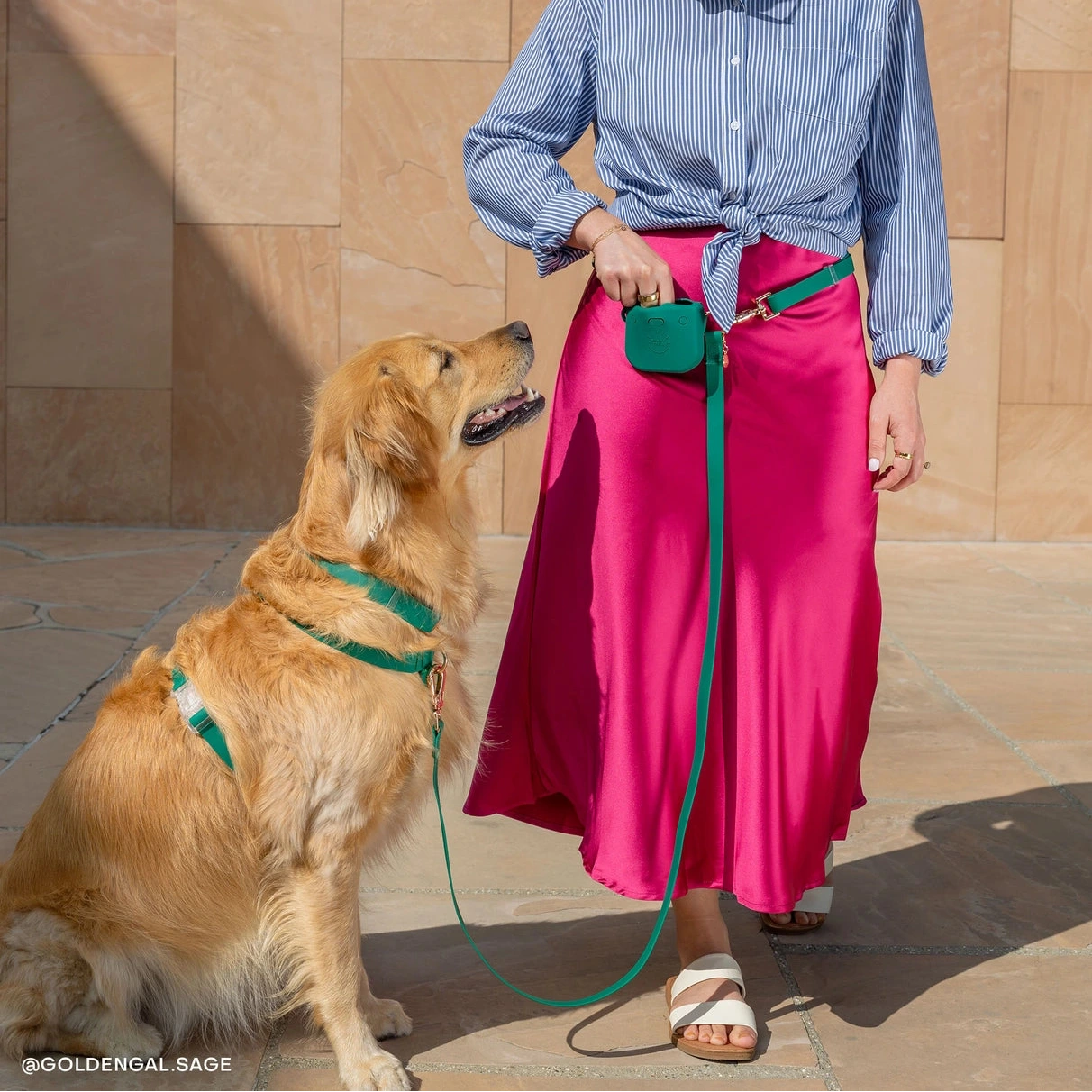 Laisse 4 positions pour chiens Sunny Tails verte
