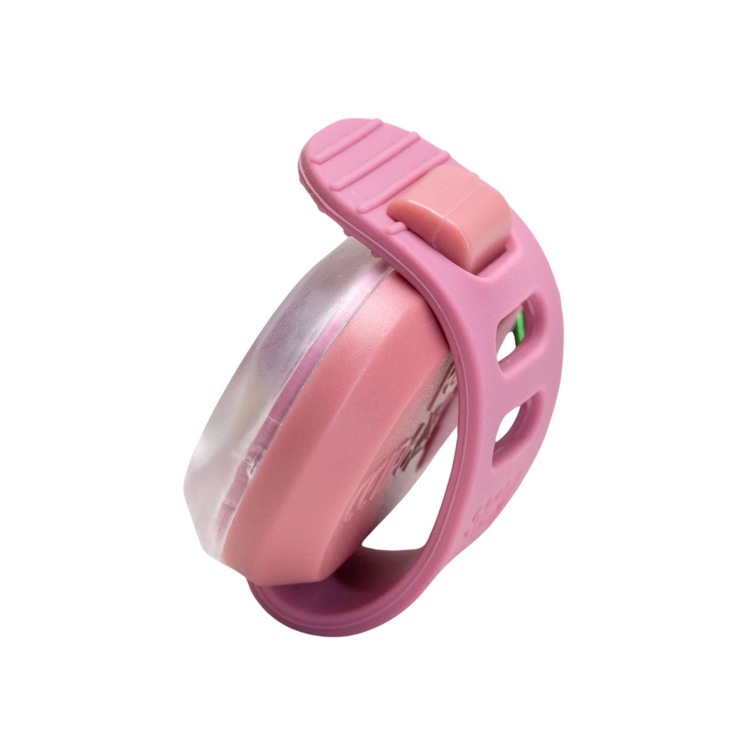 Lumière collier chien