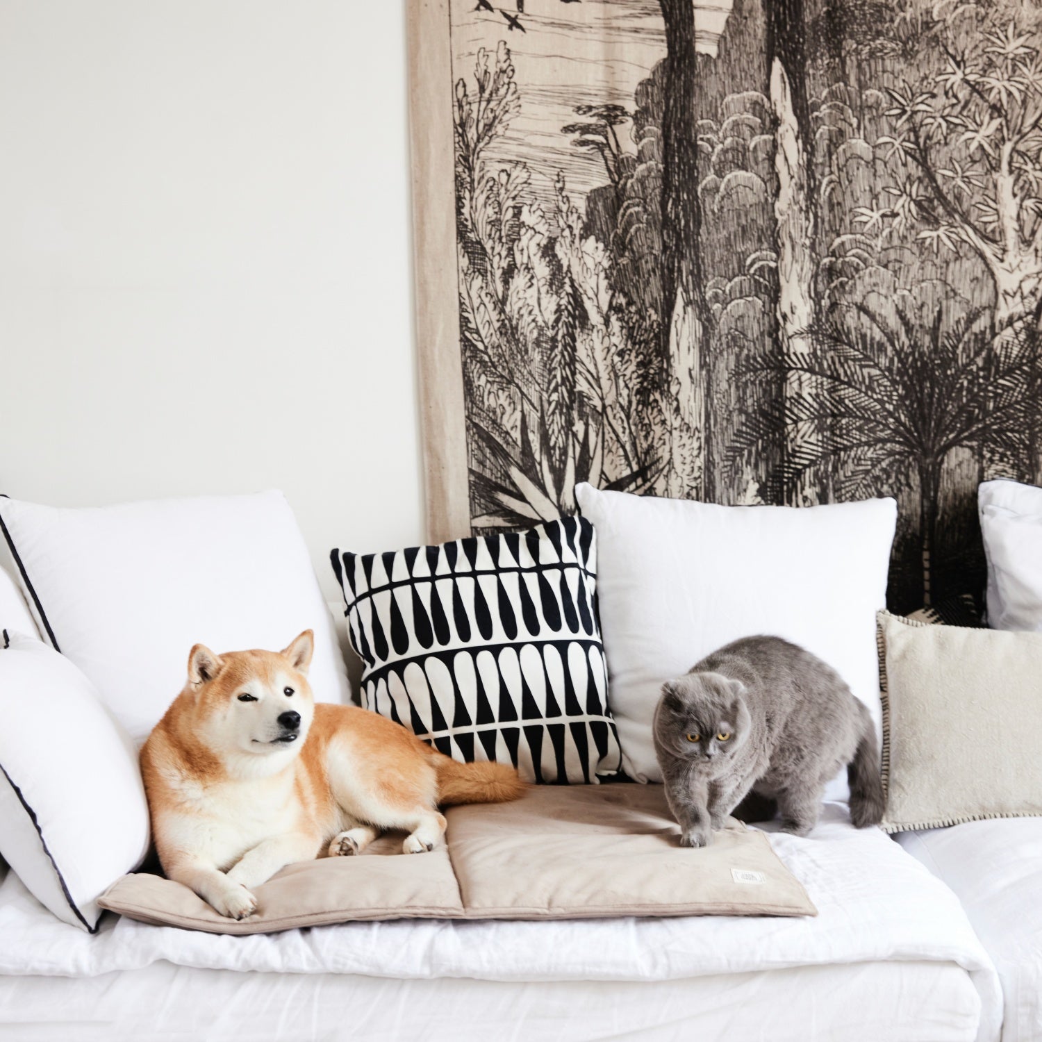 Matelas nomade pour chien