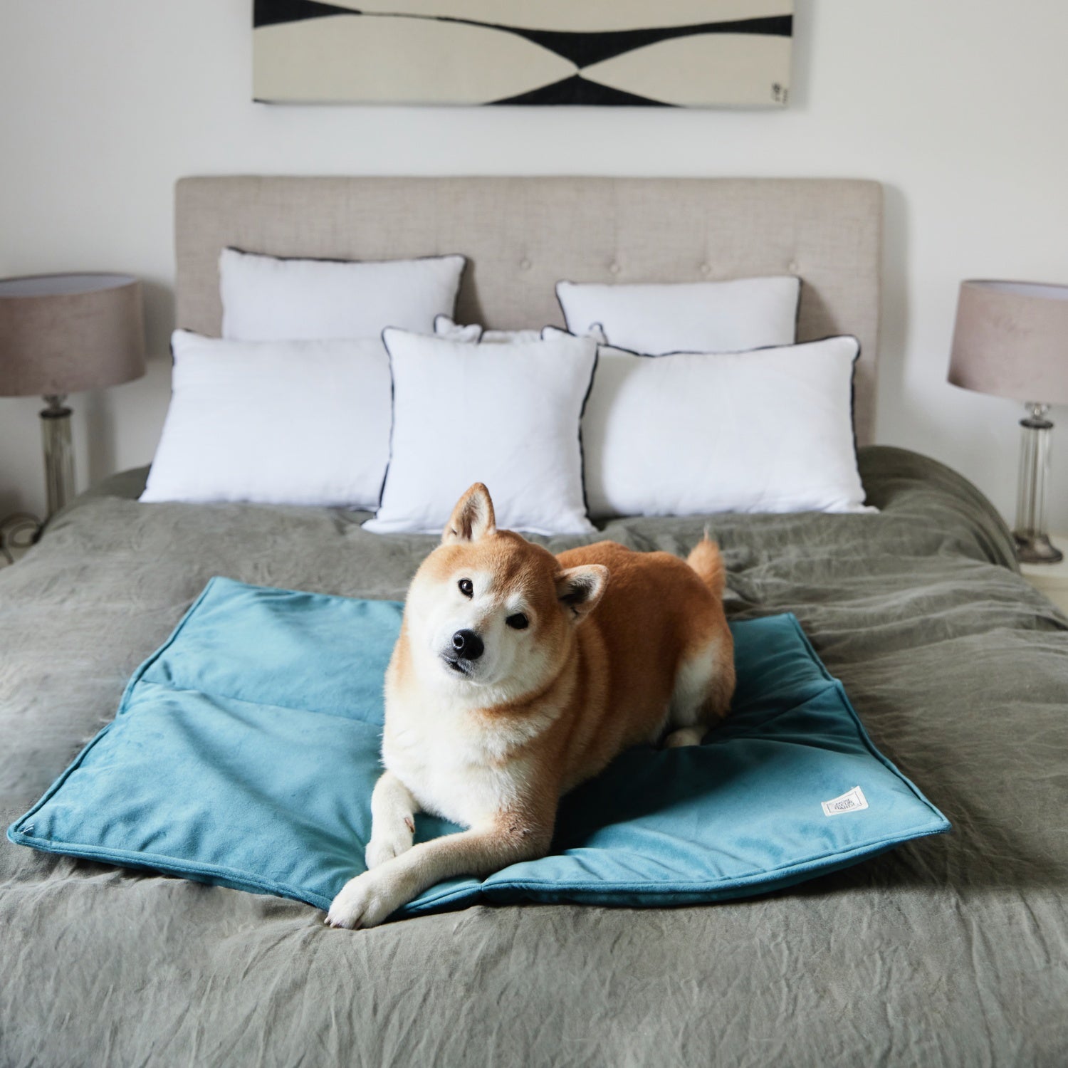 Matelas pour chien