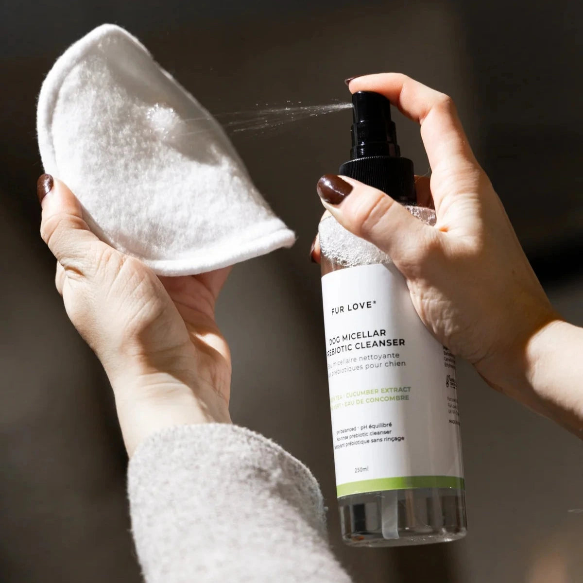 Eau micellaire naturelle pour chien
