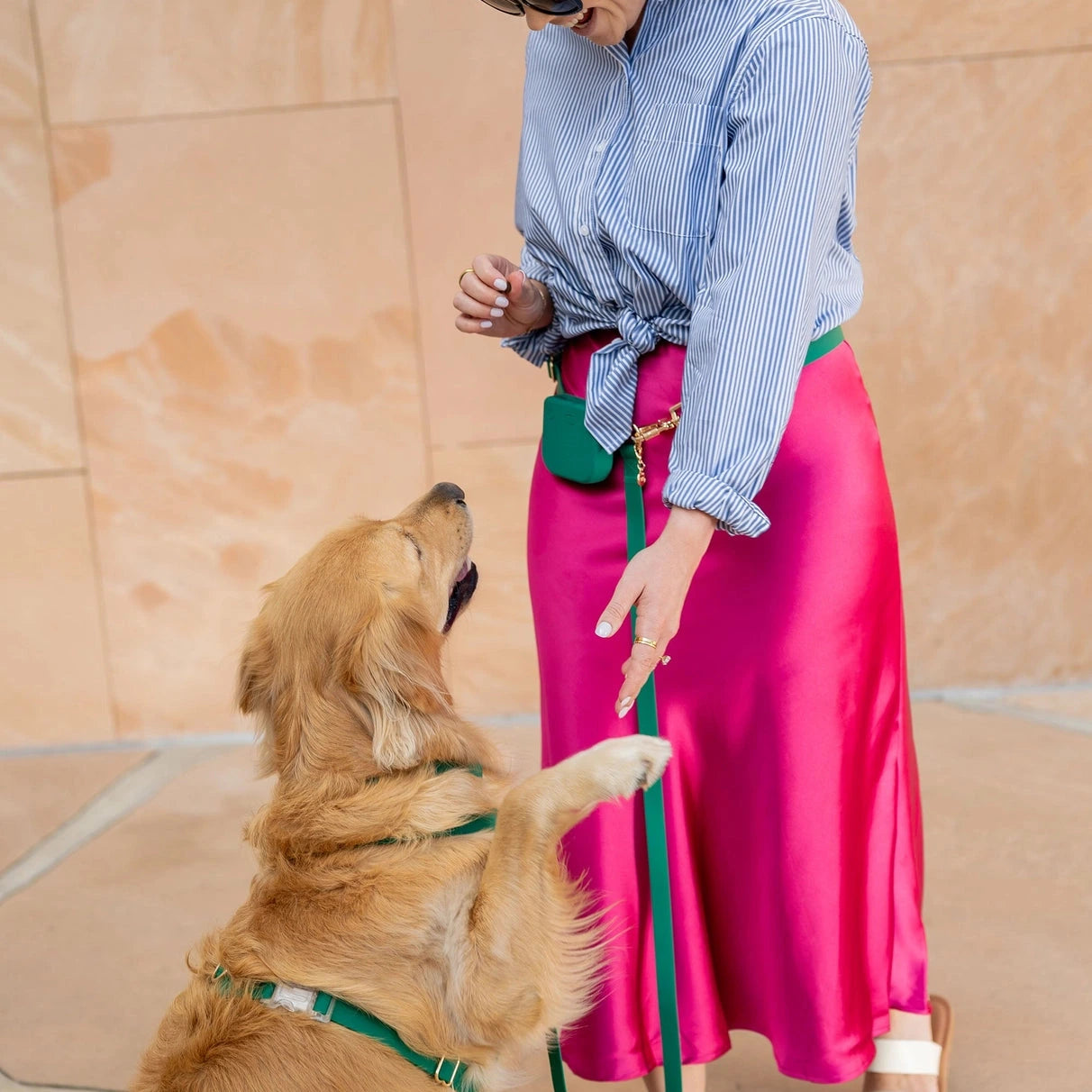Pochette à friandises en silicone pour chien verte