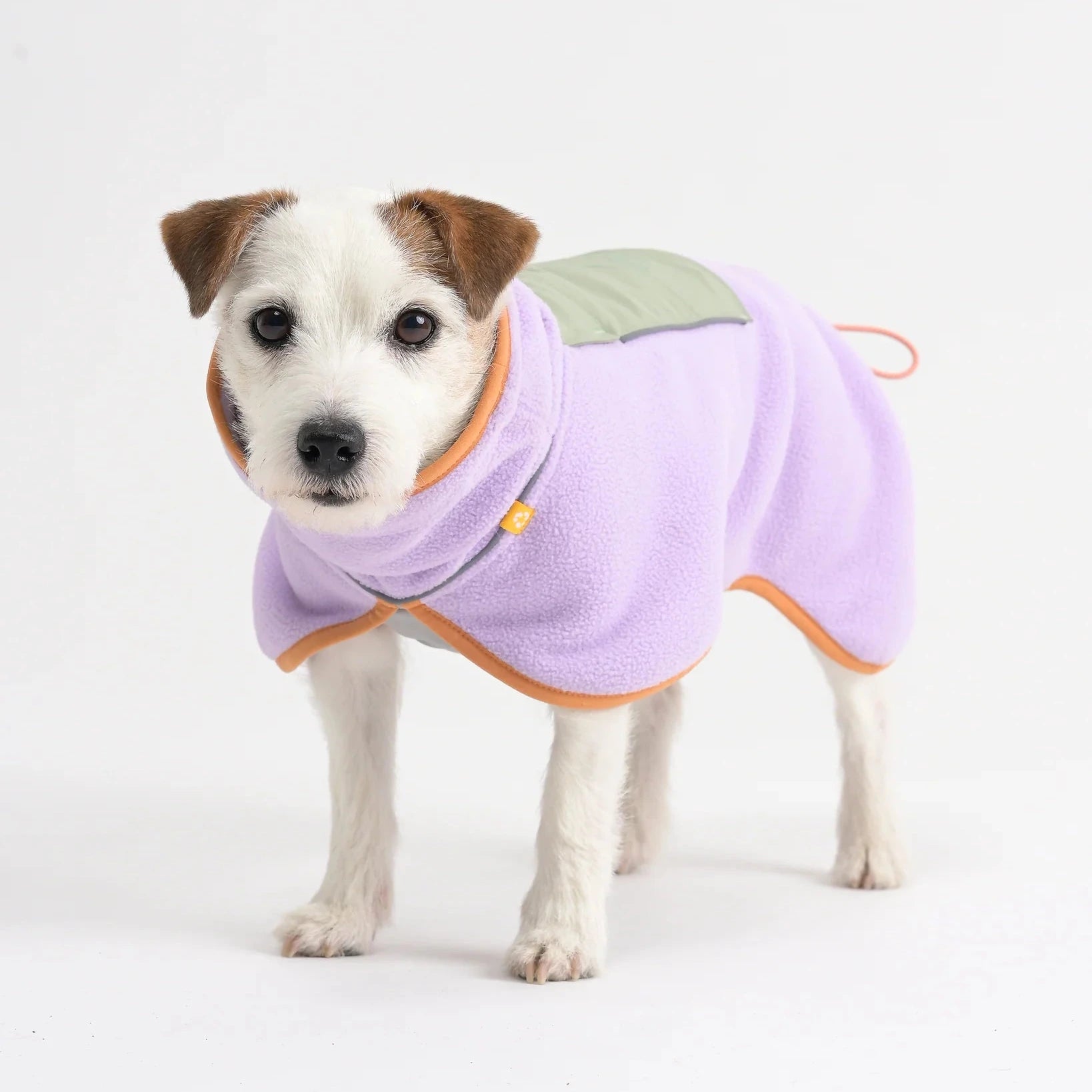 Pull polaire pour chiens